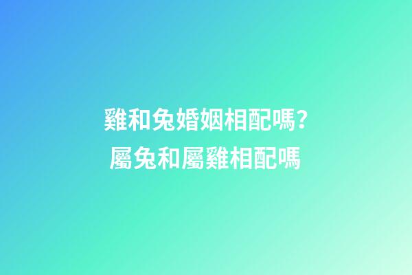 雞和兔婚姻相配嗎？ 屬兔和屬雞相配嗎-第1張-觀點-玄機派